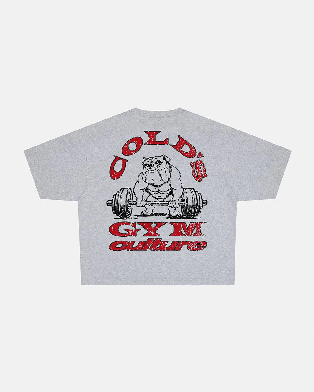 COLD´S GYM BOXY TEE GREY - Cold Culture